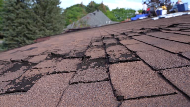 Fast & Reliable Emergency Roof Repairs in Roanoke, IN