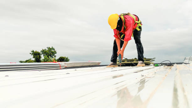 Best Roof Insulation Installation  in Roanoke, IN