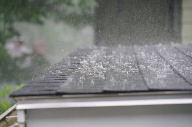 Best Roof Maintenance and Cleaning  in Roanoke, IN